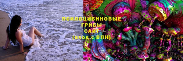 марки lsd Ельня