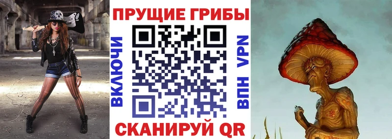 Купить закладки  Наволоки  Галлюциногенные грибы Psilocybe 